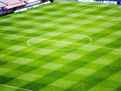 足球場人工草坪